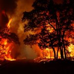 آتش سوزی در جنگل گلستان / تاکنون ۱۵۰ هکتار عرصه جنگلی و مرتعی دچار حریق شده