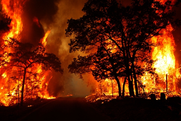 آتش سوزی در جنگل گلستان / تاکنون ۱۵۰ هکتار عرصه جنگلی و مرتعی دچار حریق شده
