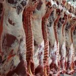 تاکنون بیش از ۲۰۰ تن گوشت گرم و منجمد در لرستان توزیع شده است