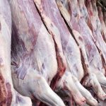 ۸۰۰ کانتینر گوشت در گمرک بندر شهید رجایی دپو شده است