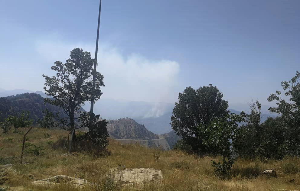 آتش سوزی در پوشش جنگلی منطقه کیبار بخش ذلقی الیگودرز