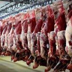 چه کسانی باعث شده اند تا قیمت گوشت قرمز کاهش نیابد
